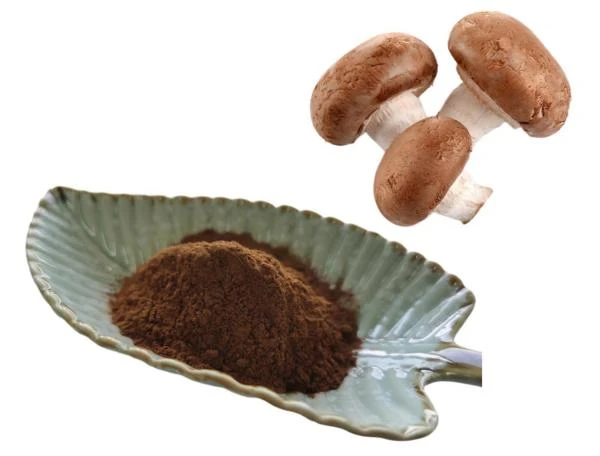 Shiitake Mushroom Extract Powder,  Lentinus Edodes Extract ,Polysaccharide 