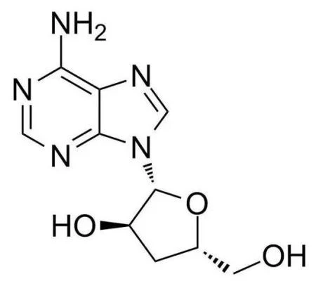Cordycepin, CAS No. 73-03-0