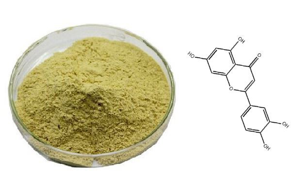 Luteolin 98% Powder