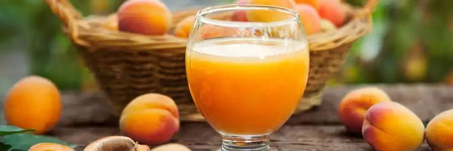 Apricot Fruit Powder Application