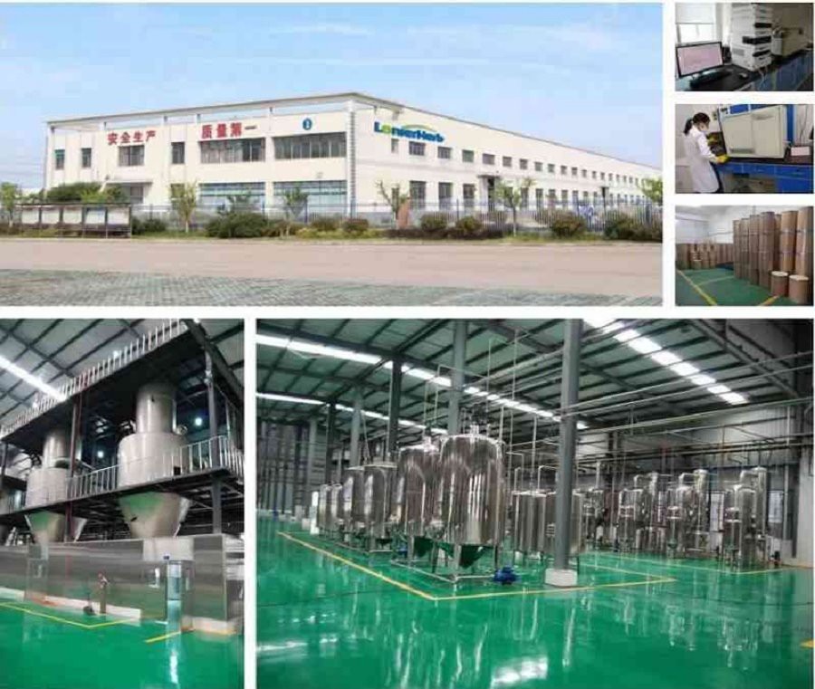 Factory Factory