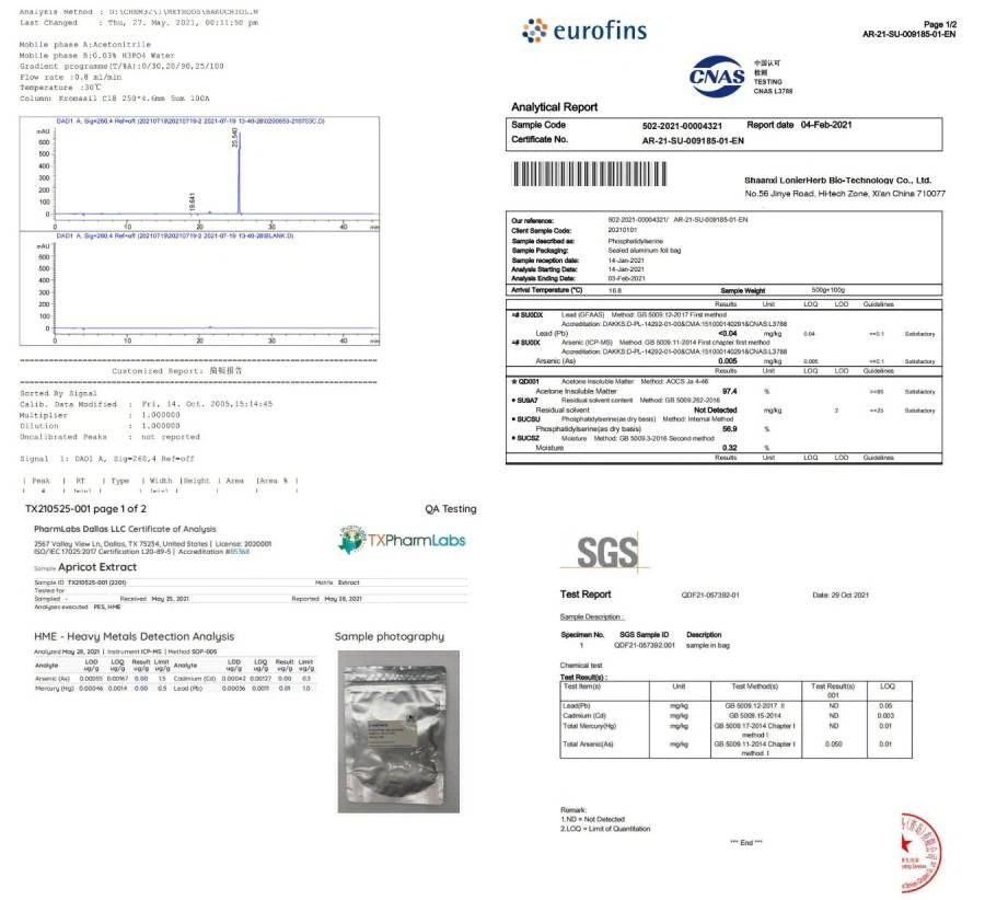Test Report 3