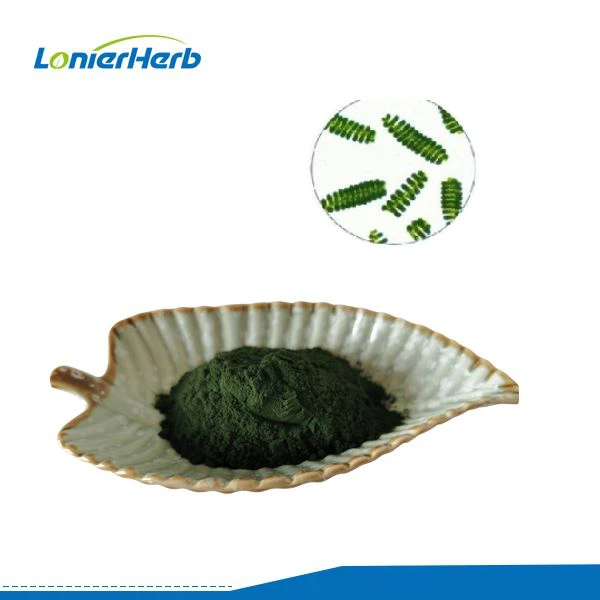 Protein Spirulina v prahu