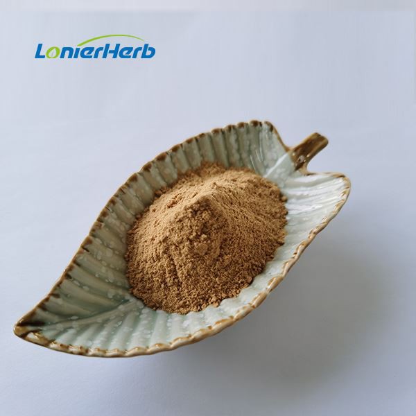 Onion Extract Powder