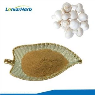 Izvleček Agaricus Bisporus