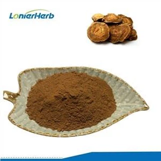 Izvleček korenine rabarbare v prahu