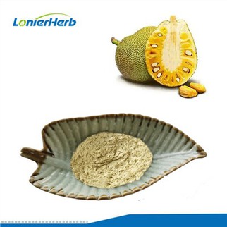 Posušen kruhovec v prahu