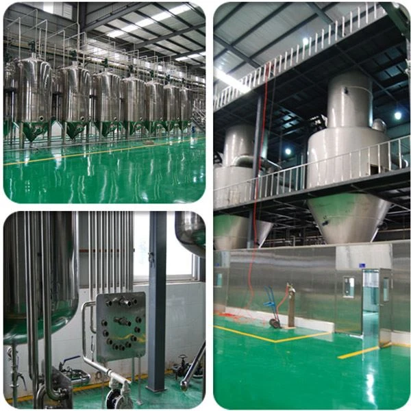 Diosmetin Powder high quality