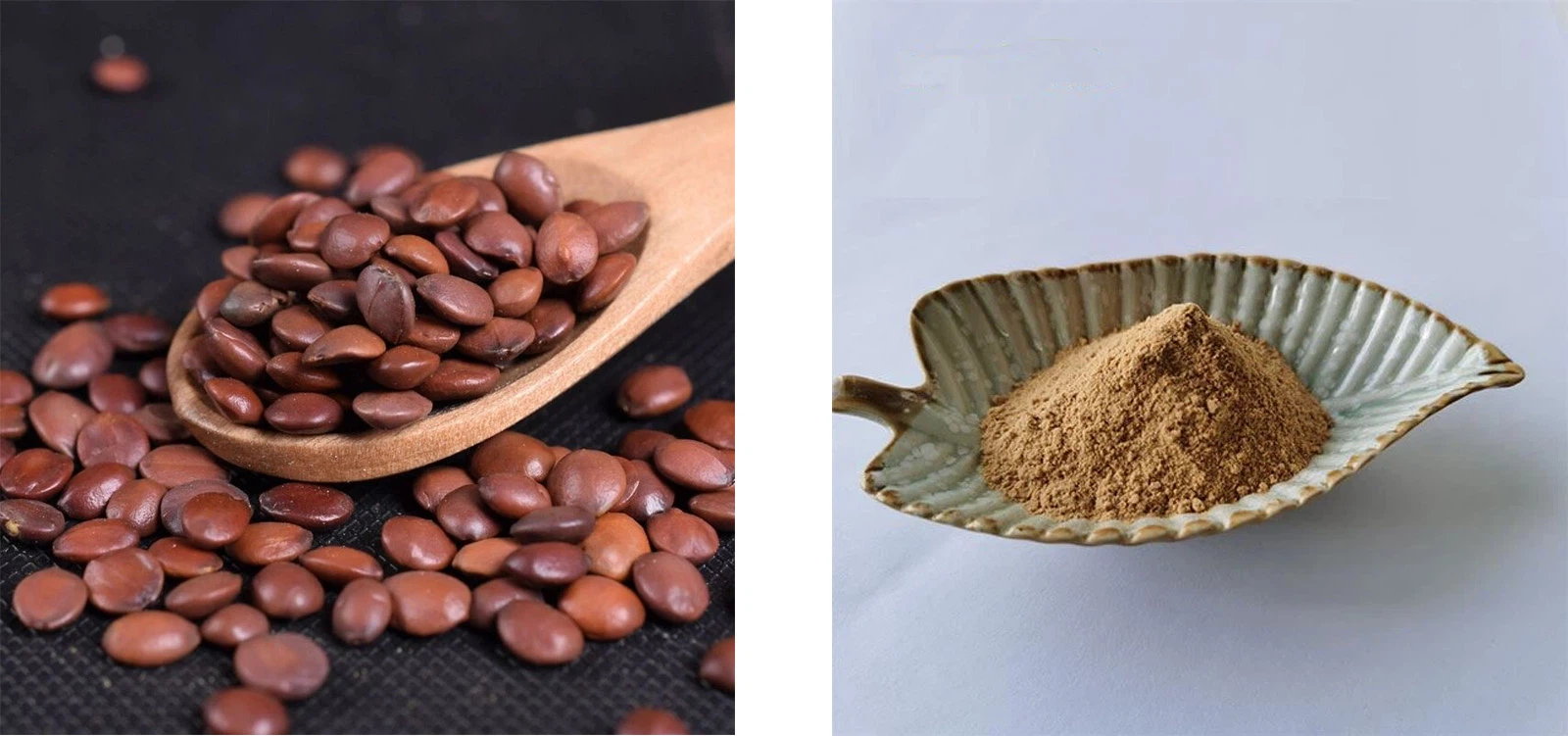 Jujube Seed Extract Jujube Seed Extract